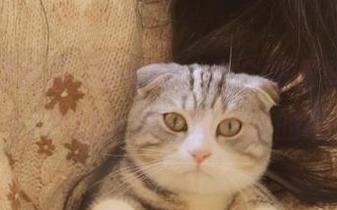 观看时，你会被哪些黑料打脸？51热门大瓜给你最猛的曝光！