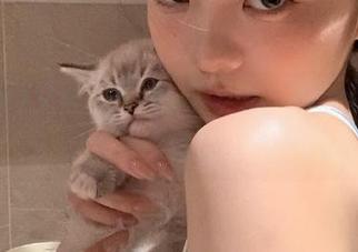 又被cgw视频吸引,不点我会遗憾吗?