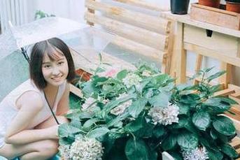 免费吃瓜黑料网：朝阳群众的情报库，真是有点儿魔幻！