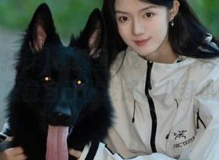 视频里的zztt15.su黑料不打烊,感觉自己也变成了八卦小精灵!