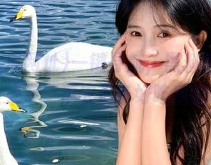 一键导航，黑料吃瓜网址大全来袭，瓜农们备好吃瓜器吧！