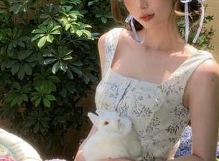 本以为只是一款普通的黑网料苹果版,没想到又开启了新的一轮“推理”